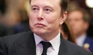 Musk critica projecto de inteligência artificial de Trump