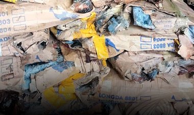 Dois cidadãos chineses detidos por venda de pescado em mau estado de conservação em Mbanza Congo