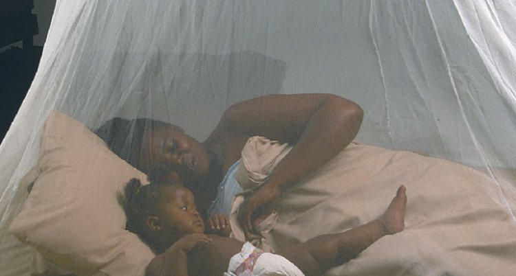 Uganda lança  vacina historia contra a malária.