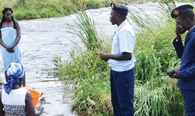 Bombeiros preocupados com ataques de crocodilos