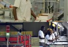 Angola criou mais de 770 mil empregos formais em três anos, anuncia Governo