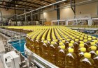 Empresas vão pagar mais pela energia eléctrica a partir de Setembro