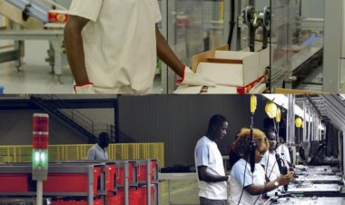 Angola criou mais de 770 mil empregos formais em três anos, anuncia Governo