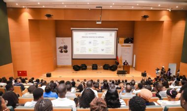 Ensino superior em Angola tem apenas um professor doutorado para cada 240 estudantes