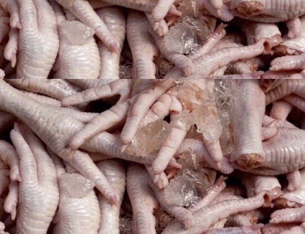 Executivo quer descobrir se derivados de frango proibidos são nacionais ou importados