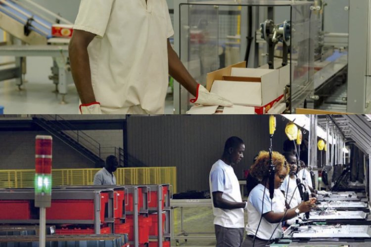 Angola criou mais de 770 mil empregos formais em três anos, anuncia Governo
