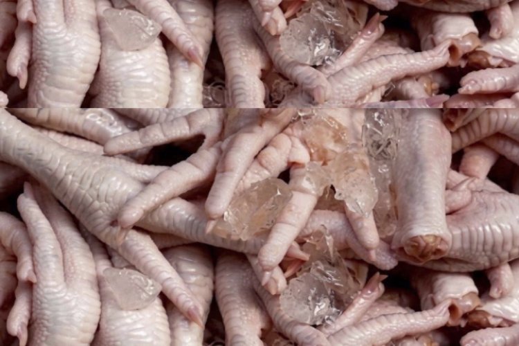 Executivo quer descobrir se derivados de frango proibidos são nacionais ou importados