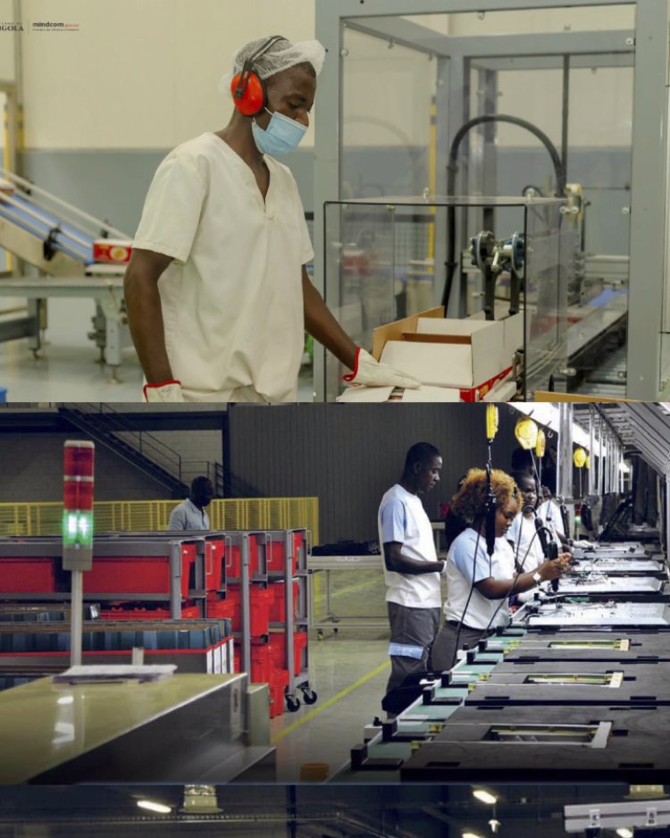 Angola criou mais de 770 mil empregos formais em três anos, anuncia Governo